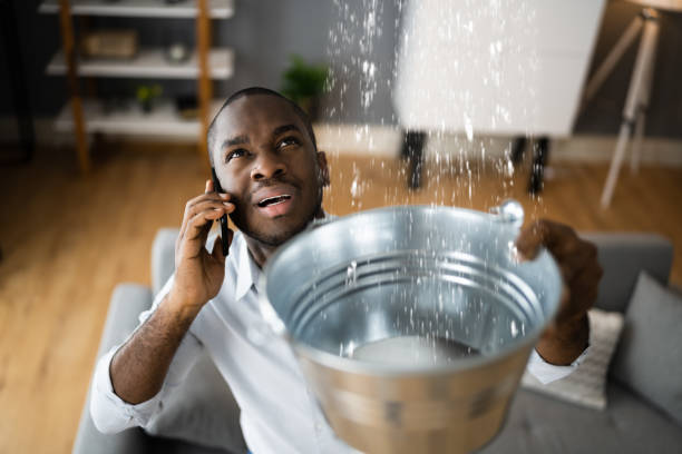 Best Basement water damage restoration  in Glenrock, WY