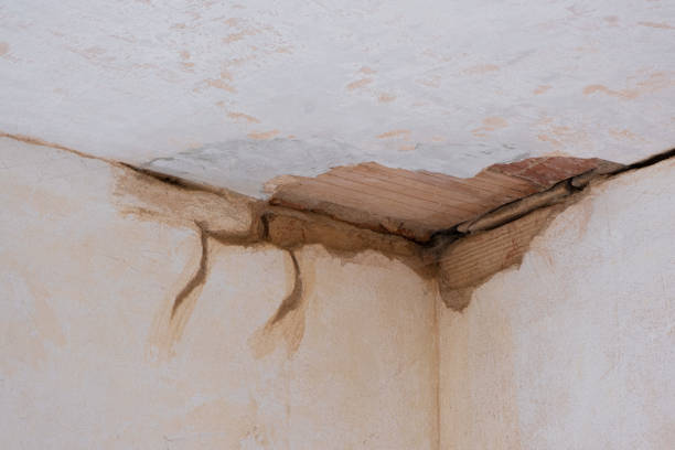 Best Ceiling water damage repair  in Glenrock, WY