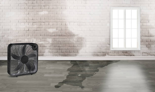 Best 24/7 water damage repair  in Glenrock, WY