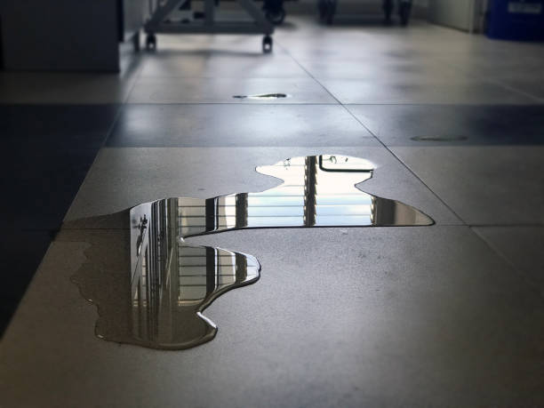 Best Water damage restoration near me  in Glenrock, WY
