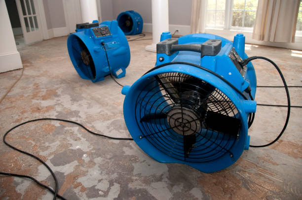 Best Flood restoration services  in Glenrock, WY