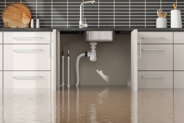  Glenrock, WY Water damage restoration Pros